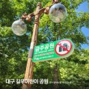 알리미술