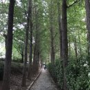 송정제방길 이미지