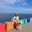 용두목장 이미지