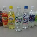 사이다소프트 네이버블로그
