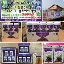 (주)에프엔디 이미지