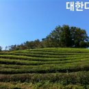 주식회사 다원식품 이미지