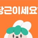 어필마켓