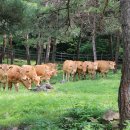 희진농장 이미지