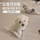 욜로독 이미지