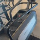 스타휘트니스 246 이미지