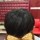 여우랑헤어 이미지