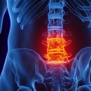 성모척척마취통증의학과의원 이미지