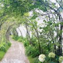 소래화원 이미지