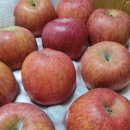 밤실농장 이미지