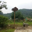 비둘기집 이미지