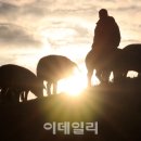 돈다산농장 이미지