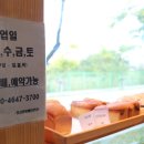 부산 강서구 빵집 르꼬르동 출신의 진선진미베이커리 4만원어치 후기