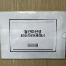 월간미선생