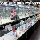 야옹아 멍멍해봐 이미지