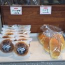 지하철빵집 내돈내산 후기 직장인 아침밥 2달리뷰 BGT호두단팥빵 초강력 추천