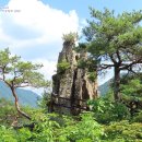 청심목장 | 못다 이룬사랑 청심의 이야기가 있는 평창 청심대..