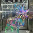 더커피 | [건대] 애견동반과 불멍이 가능한 건대 블루리본 커피맛집 더이퀼리브리엄커피 내돈내산 후기