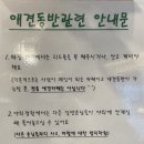 빈슈에뜨 이미지