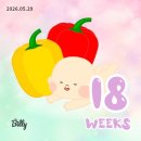 봄마중(2월에는) | [임신-(6)]자매끼리 떠나는 마카오 2박3일 태교여행, 대한항공 비즈니스석 후기(KE2015/KE2016)