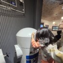 가춘천 | 아이와 가볼만한 곳, 춘천 애니메이션박물관 토이로봇관 후기