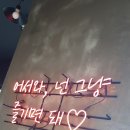 제주도메르블루게스트하우스파티 이미지