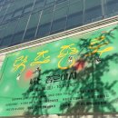 토토로테마존청소년게임장 | 나는 종로에서 [레츠 종로] | 종로 축제 2024 종로랑 축제 후기