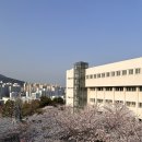 카페이띠