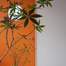 경일여자고등학교 이미지