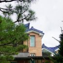 사랑꽃 스테이 이미지