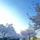 진핏 PT 스튜디오 이미지