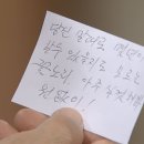 초록의계절 이미지