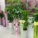 마디웃는신경외과의원 이미지