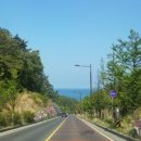 쉼; 사주&카페 이미지