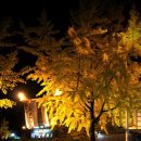 선조네 우렁쌈밥 이미지