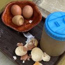 천지연 한증막 이미지