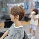 헤어비 이미지