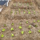 둔덕농장2 이미지