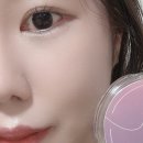 [파우더팩트 추천] 이지비건 쉼 파우더 팩트 | 여름베이스 유분케어 모공블러 파우더 후기