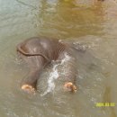 순박2농장 이미지