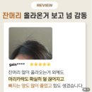 헤어뱅 | 두피관리기 추천 집에서 꾸준히 쓰는 탈모케어 원텍 헤어뱅 마사지기 후기