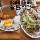 왕돈 | 일산 쥬쥬동물원 근처맛집 왕돈식당