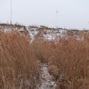 상면체육관 이미지