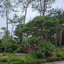 딜리버리 인동 | [서울/우이동]18개월 아기랑 호캉스, 파라스파라(현 안토) 호캉스 후기