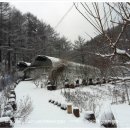 숲속농장 이미지