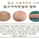 서울반점 이미지