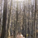 영화 &#39;노트북(The Notebook)&#39;을 통해 만난 사랑의 가장 순수한 형태