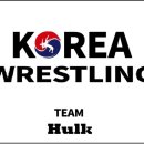 팀헐크레슬링 이미지