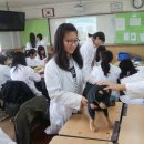 거창여중 이미지