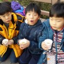 질경이수원 이미지